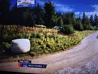 Toyota GR Yaris Rally1 HYBRID 2024 - Rally Estonia cover