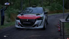 Peugot 208 Rally 4 - Alsace tune cover