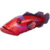 Avatar for F