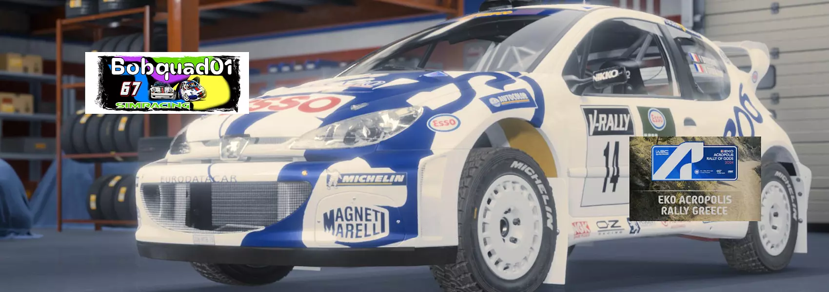 EA Sports WRC Setup: PEUGEOT 206 Rally - WRC 1997-2011 · WRCsetups.com