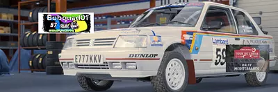 PEUGEOT 309 GTI H2 FWD Rallye Mediterranéo Tour de Corse cover
